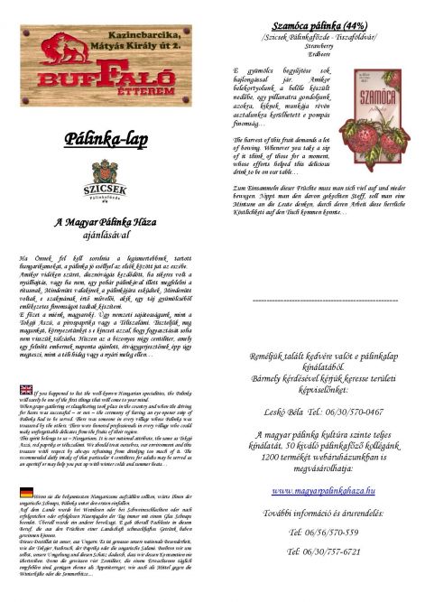 palinkalap-page-001.jpg